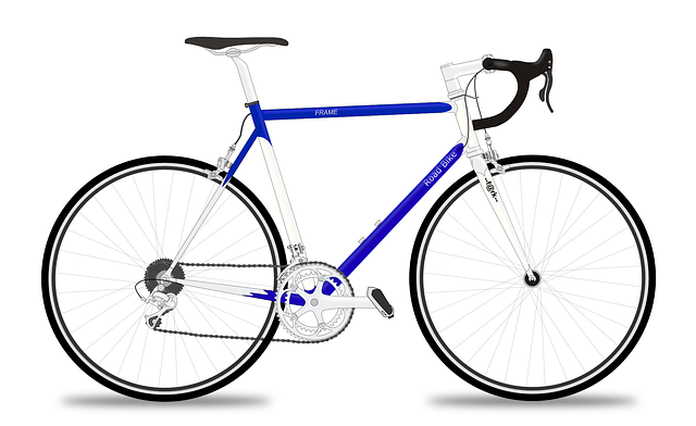 racing-bicycle-161449_640